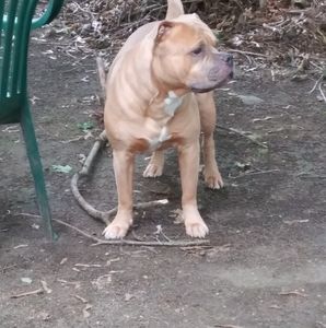 Meet your Posher, Lee